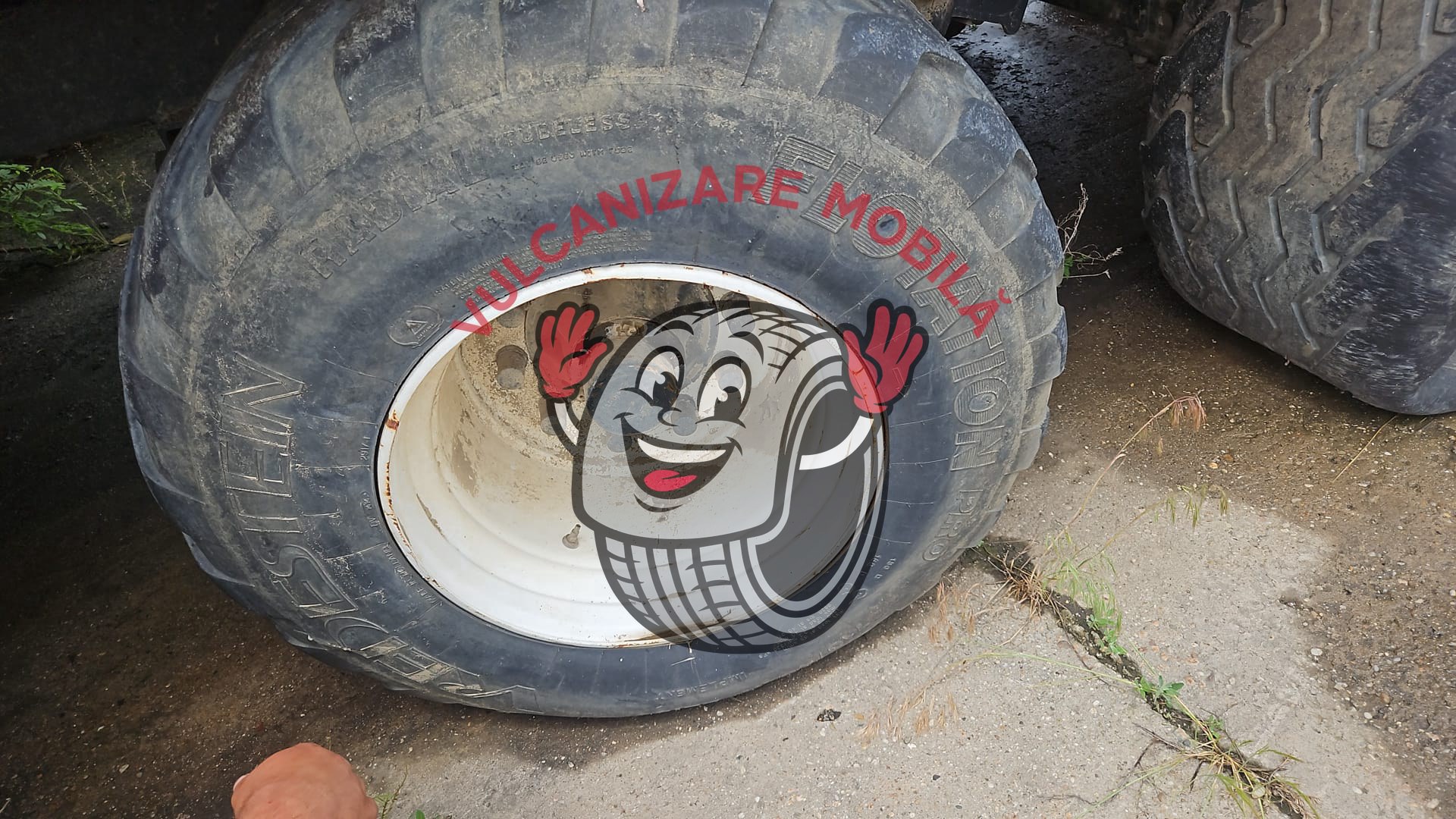 Vulcanizare mobilă în 43.633349
